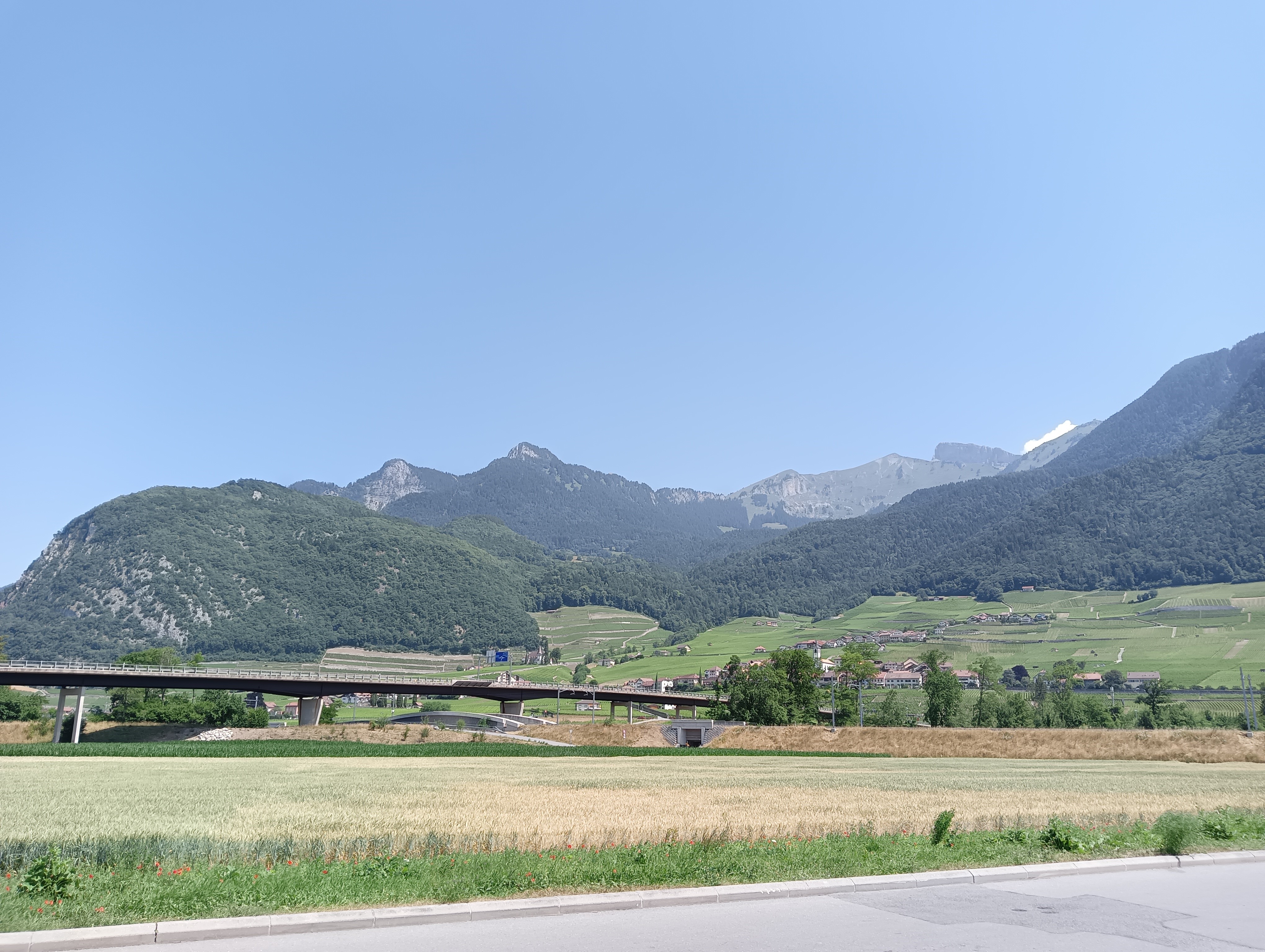 Suisse