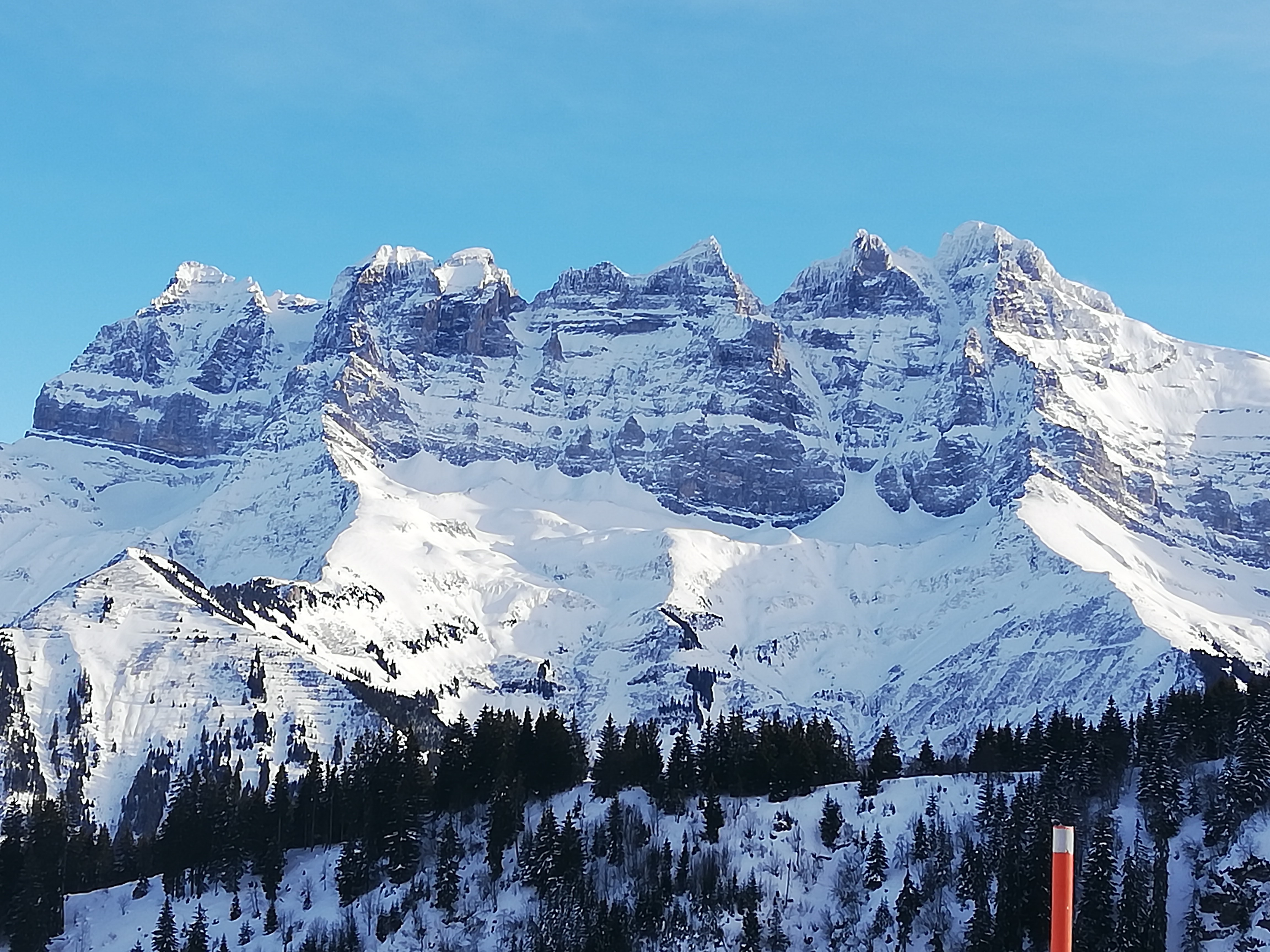 Suisse