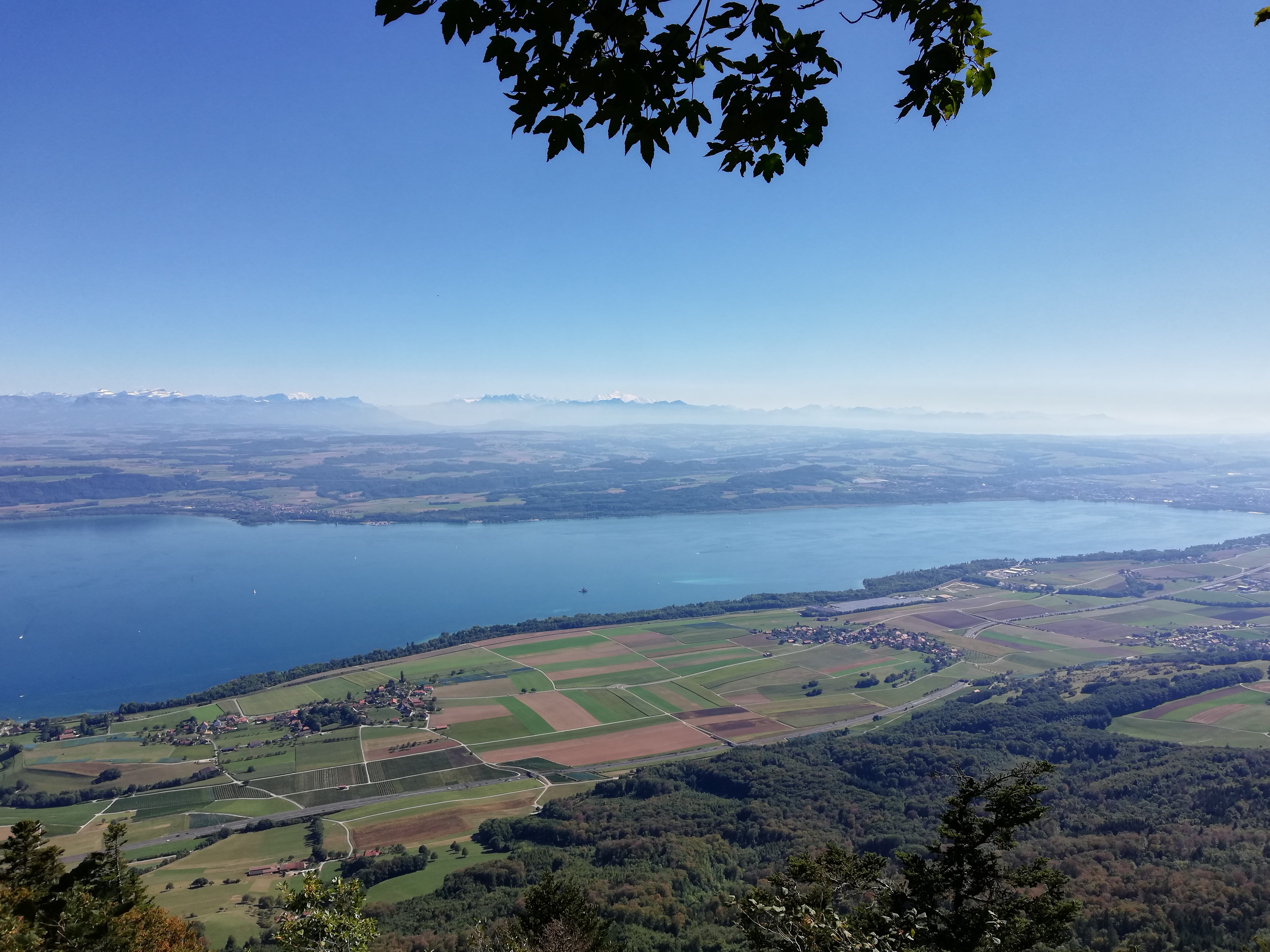 Suisse