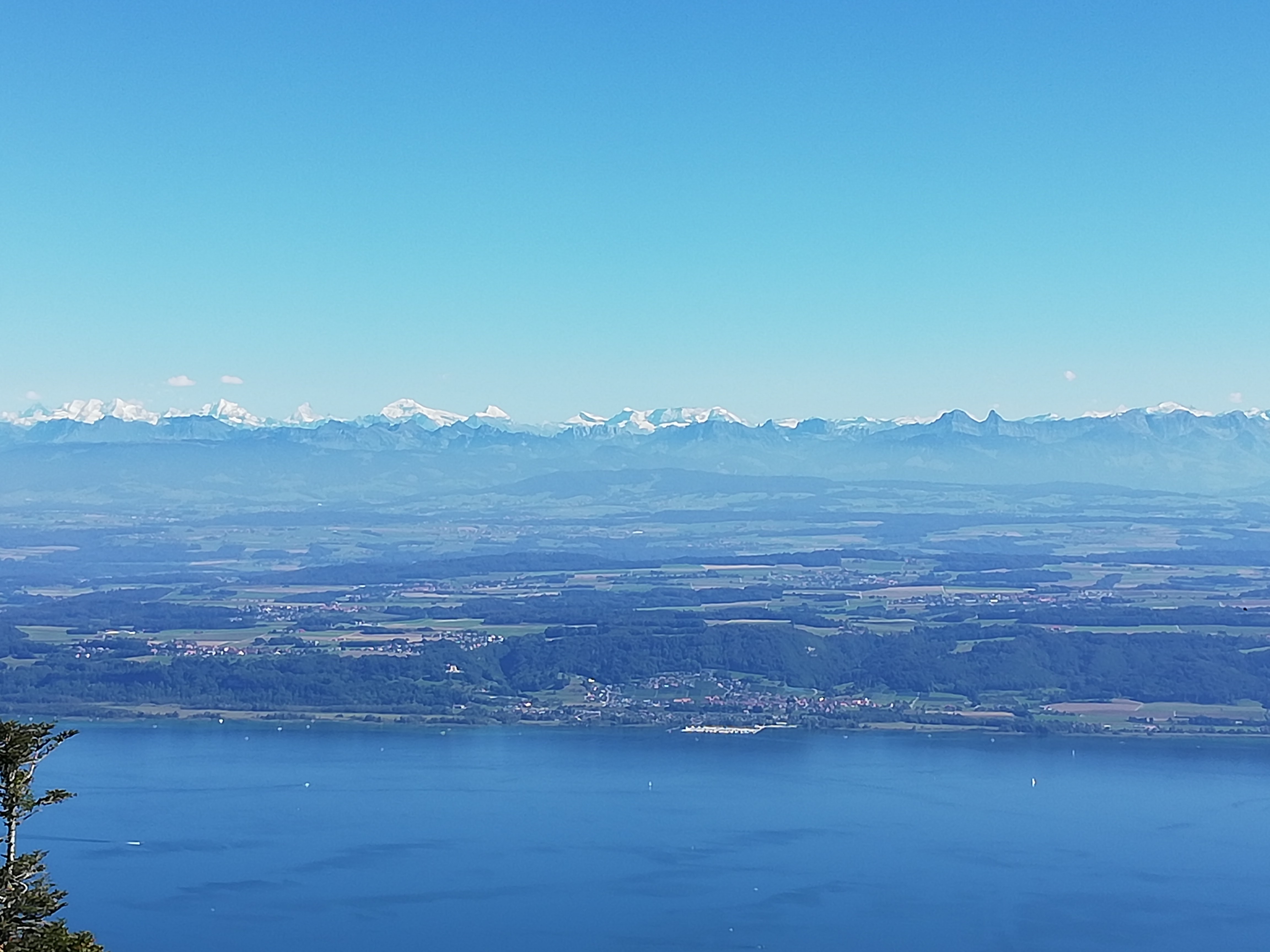 Suisse